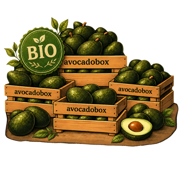 Bio Avocadobox: Veel voor weinig! 🥑