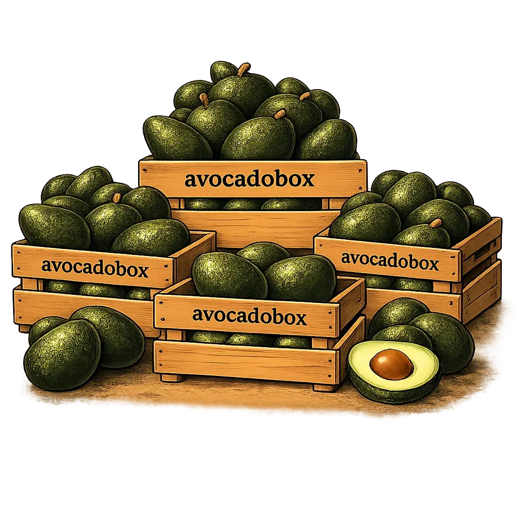 Avocadobox — De Mini´s
