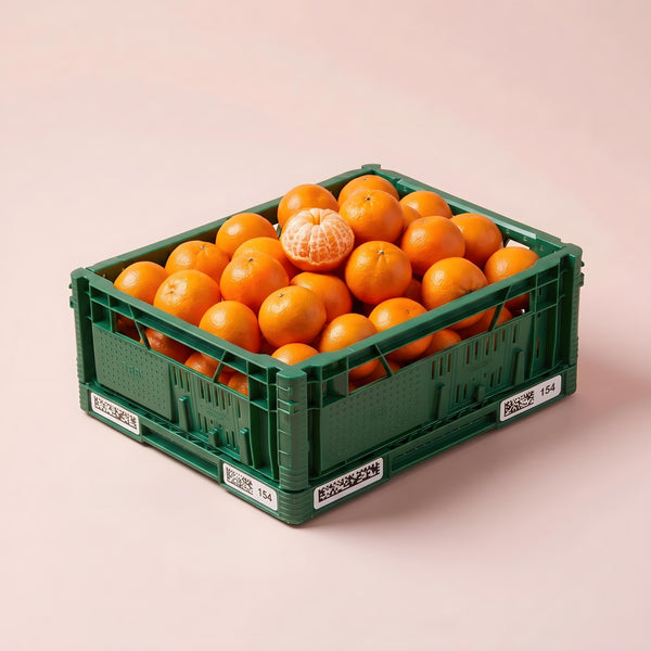 Wat maak je met mandarijn? 4 recepten + bewaartips