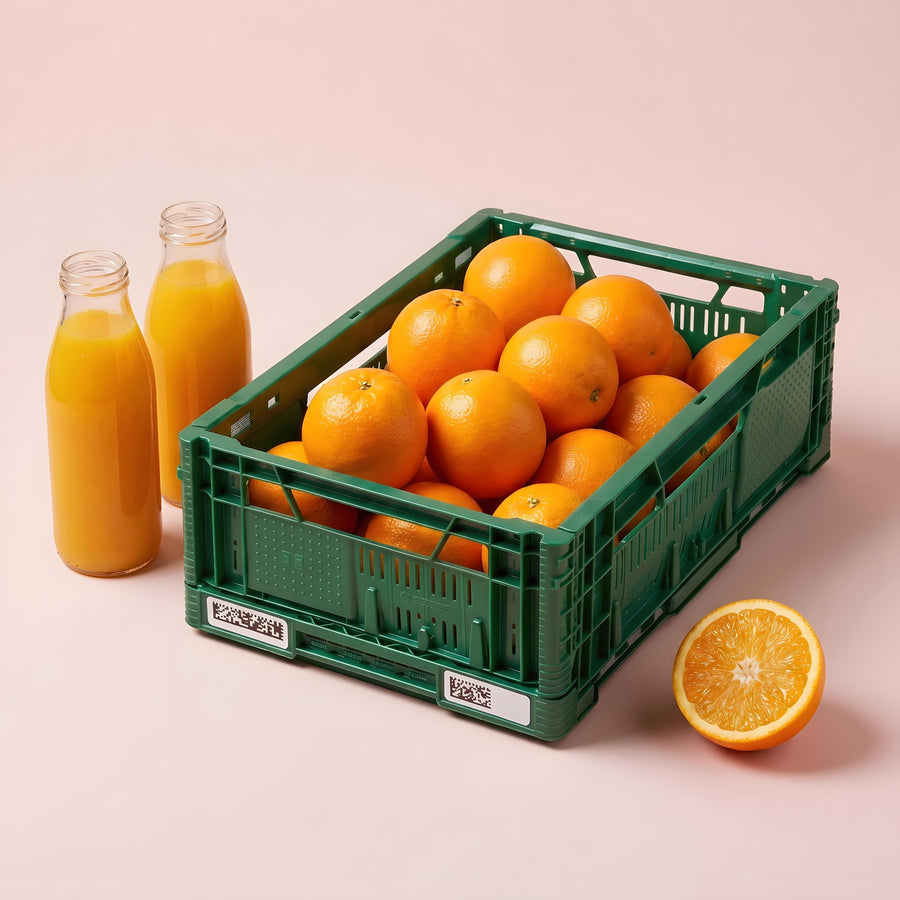 Sinasappelbox(Jus d´Orange)—  De Mini´s