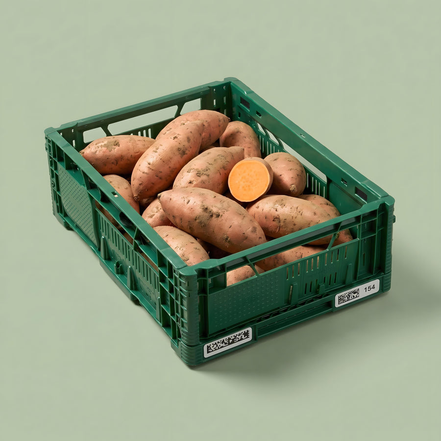 BIO Zoete Aardappel Box