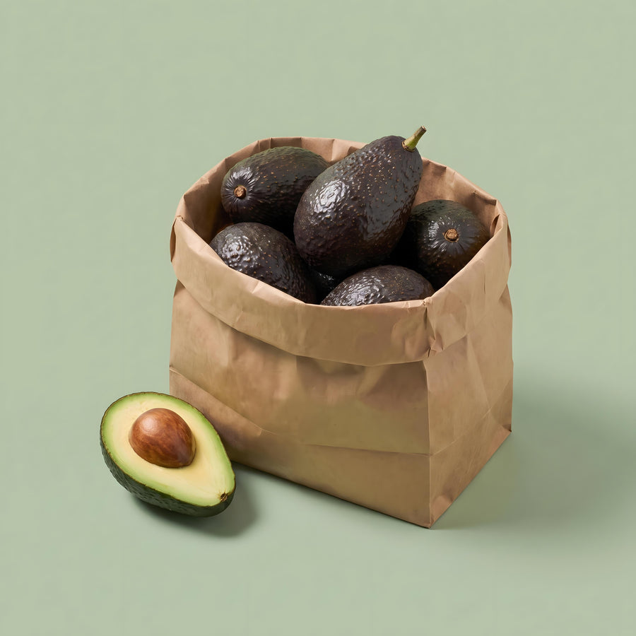 Bio Avocadobox —  De Mini´s