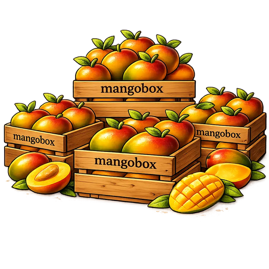 Mangobox —  De Mini´s - Veggiebox