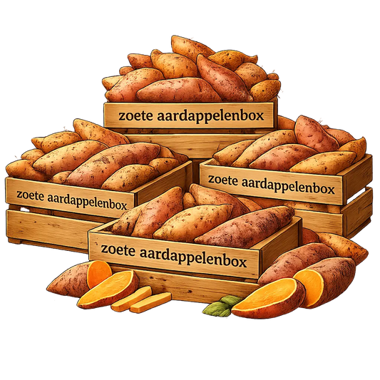 Zoete aardappelbox  —  De Mini´s - Veggiebox