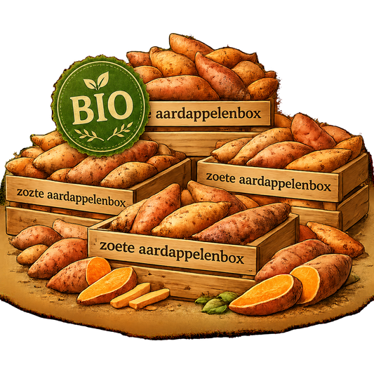 BIO Zoete Aardappel Box Veggiebox