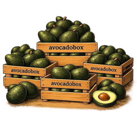 Avocadobox —  De Mini´s