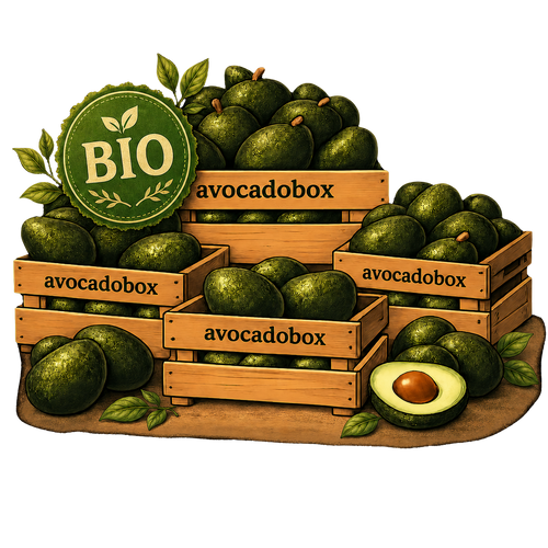 Bio Avocadobox —  De Mini´s