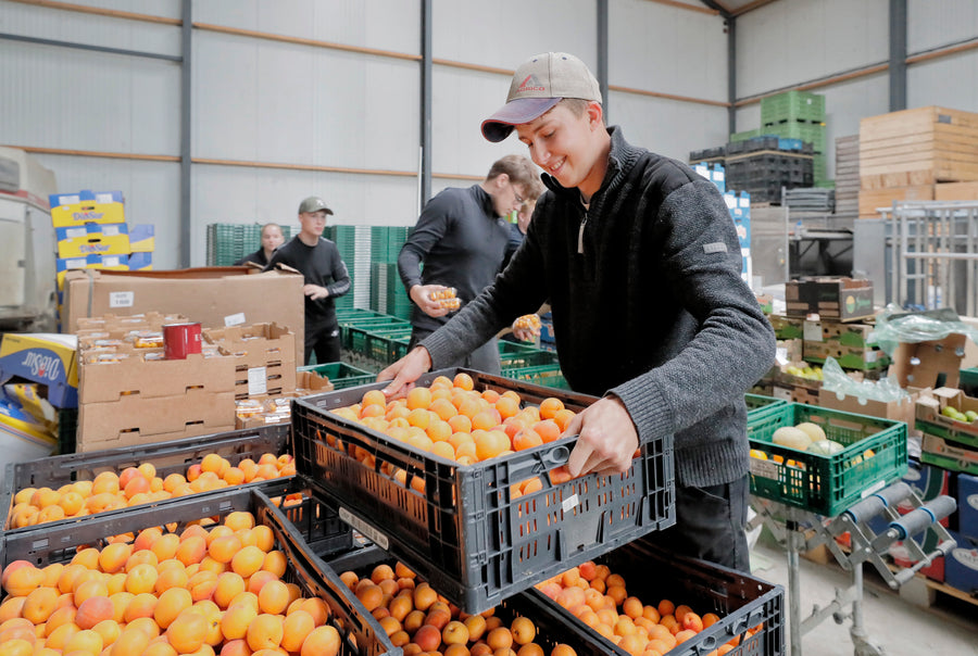Verse groente- en fruitbox van Veggiebox, gered van verspilling