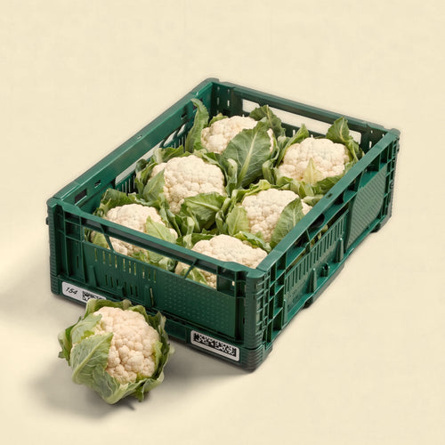 BIO Bloemkool Box