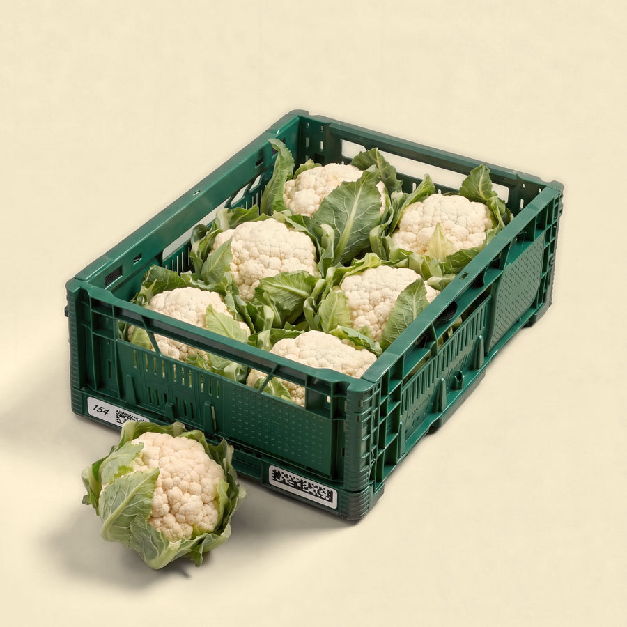 BIO Bloemkool Box