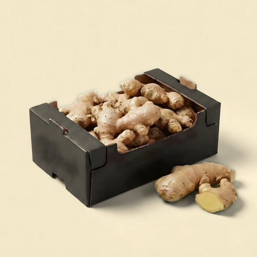 BIO Gemberbox