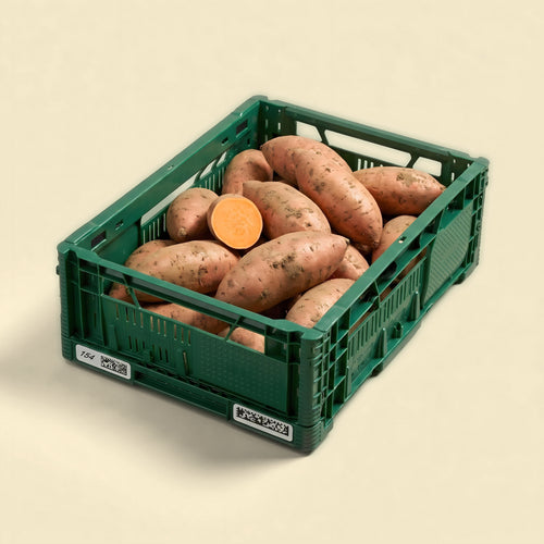 BIO Zoete Aardappel Box
