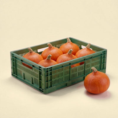 Hokkaido Pompoen Box