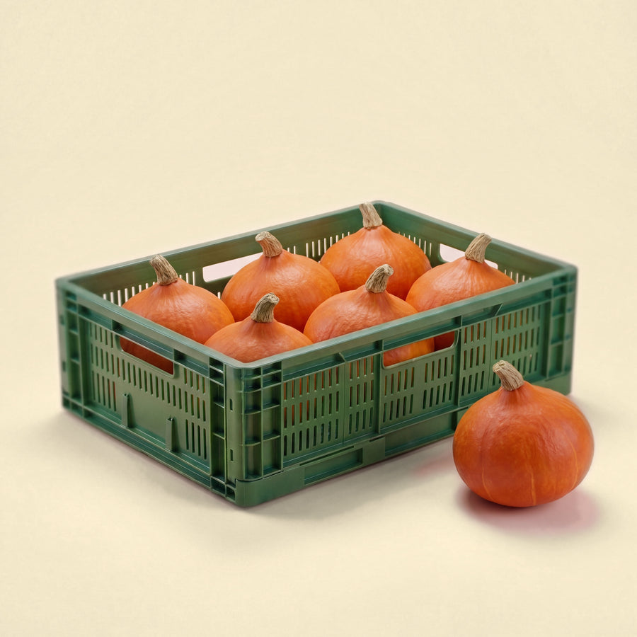 Hokkaido Pompoen Box
