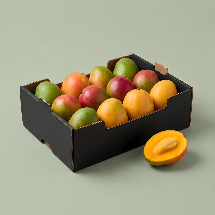 BIO Mangobox