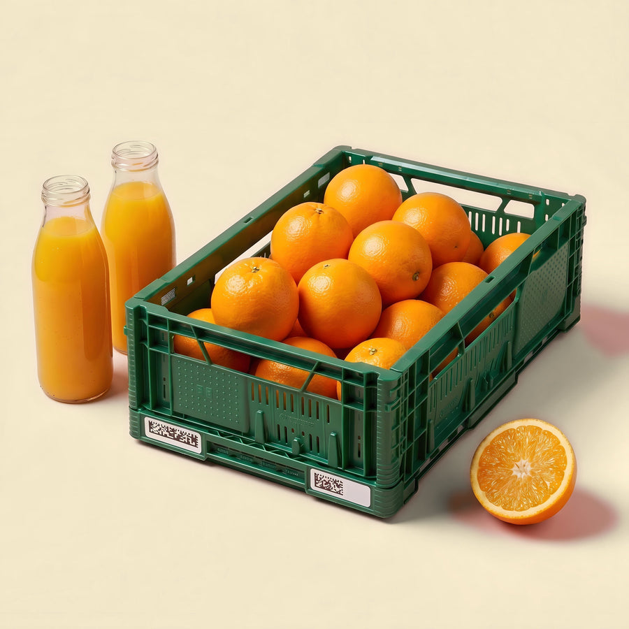 BIO Perssinaasappel Box