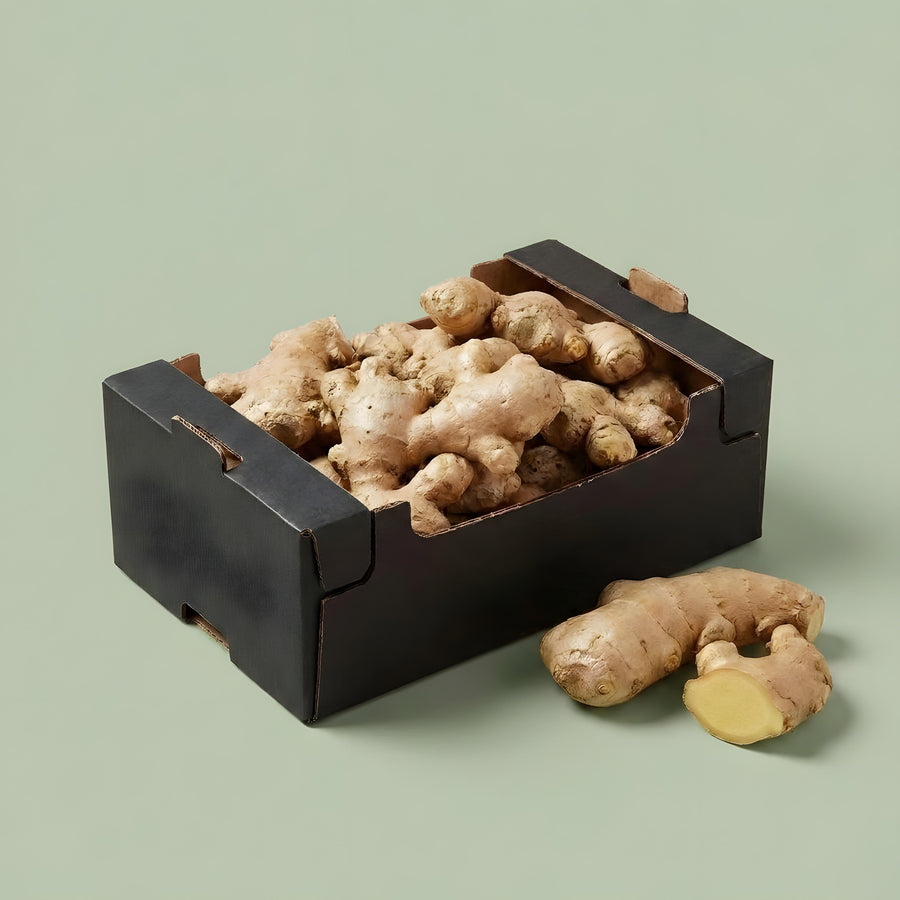 BIO Gemberbox